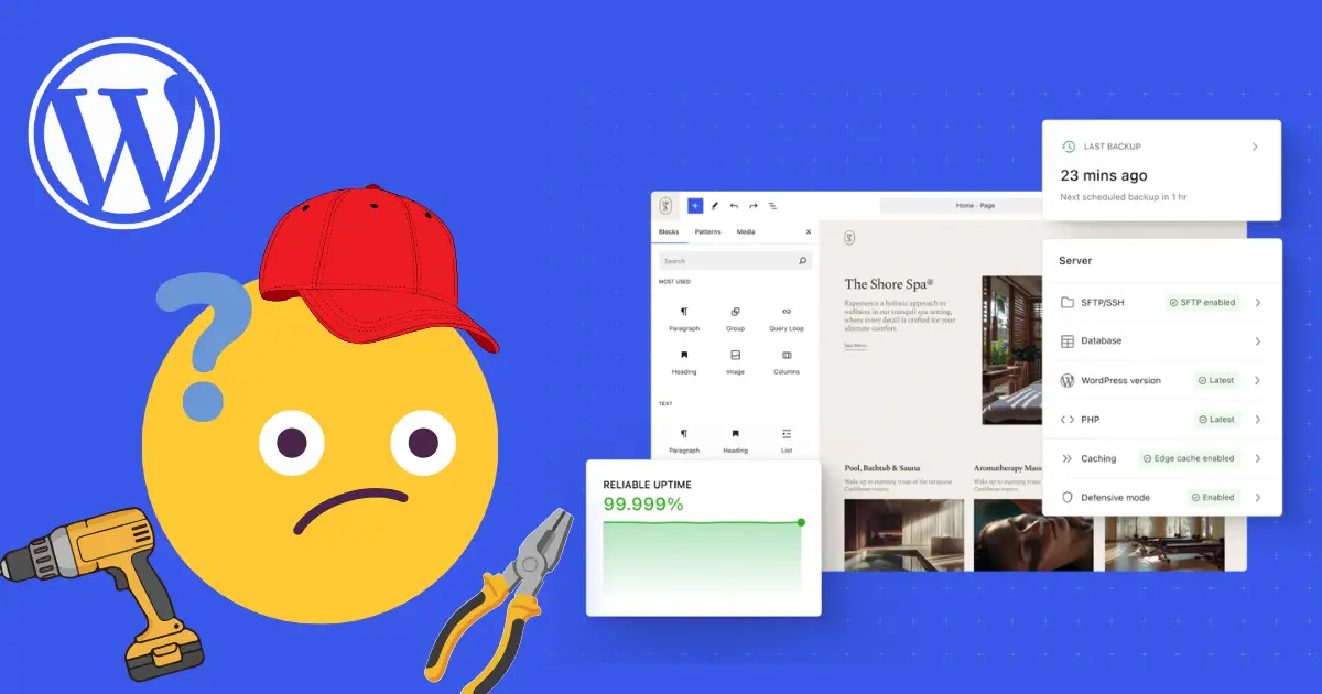 WordPress admin dashboard showing menus and plugin options